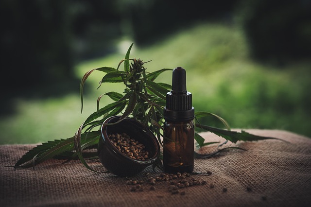 Fra schweiz til danmark: Den bedste cbd olie på markedet